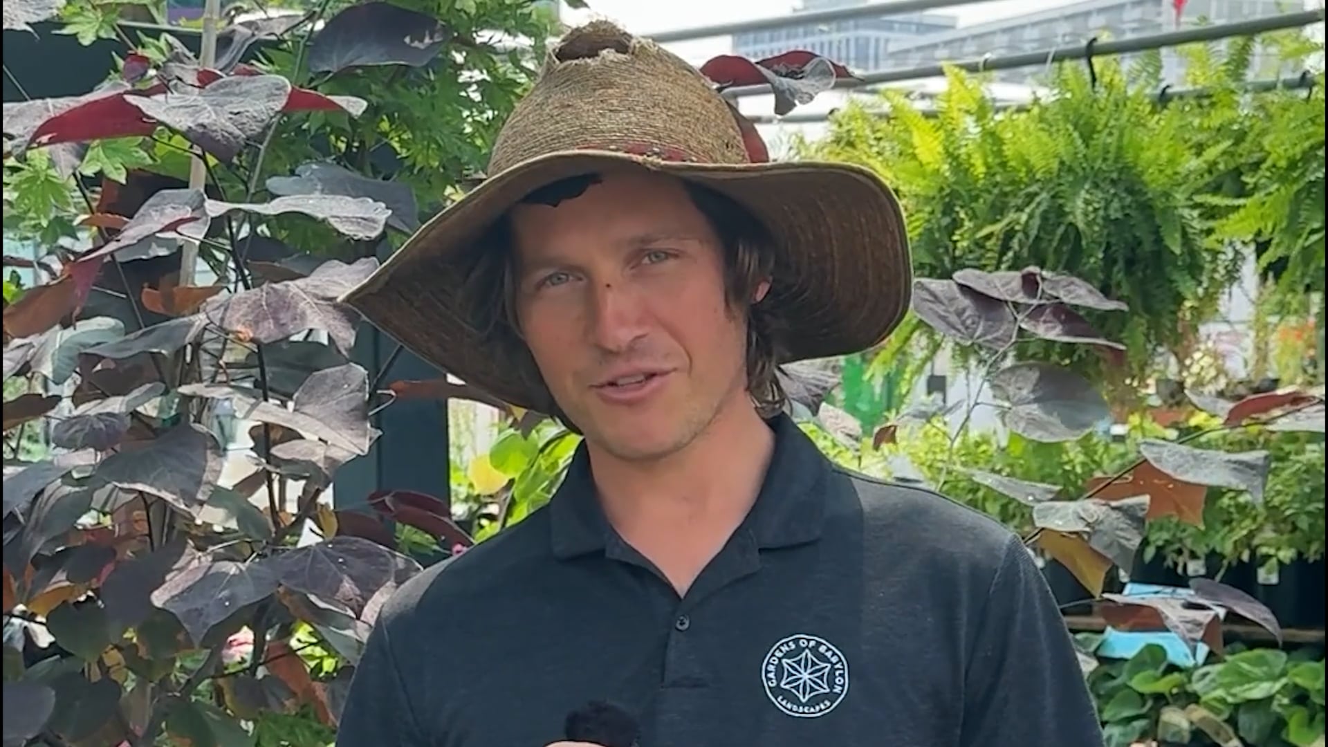 Neil Anderson, General Manager at Gardens of Babylon Garden Center