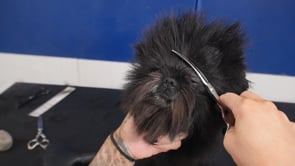 Related Embedded Video Item Thumbnail