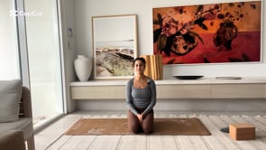 Related Embedded Video Item Thumbnail