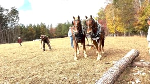Cinder Ridge Harvest Festival 2024