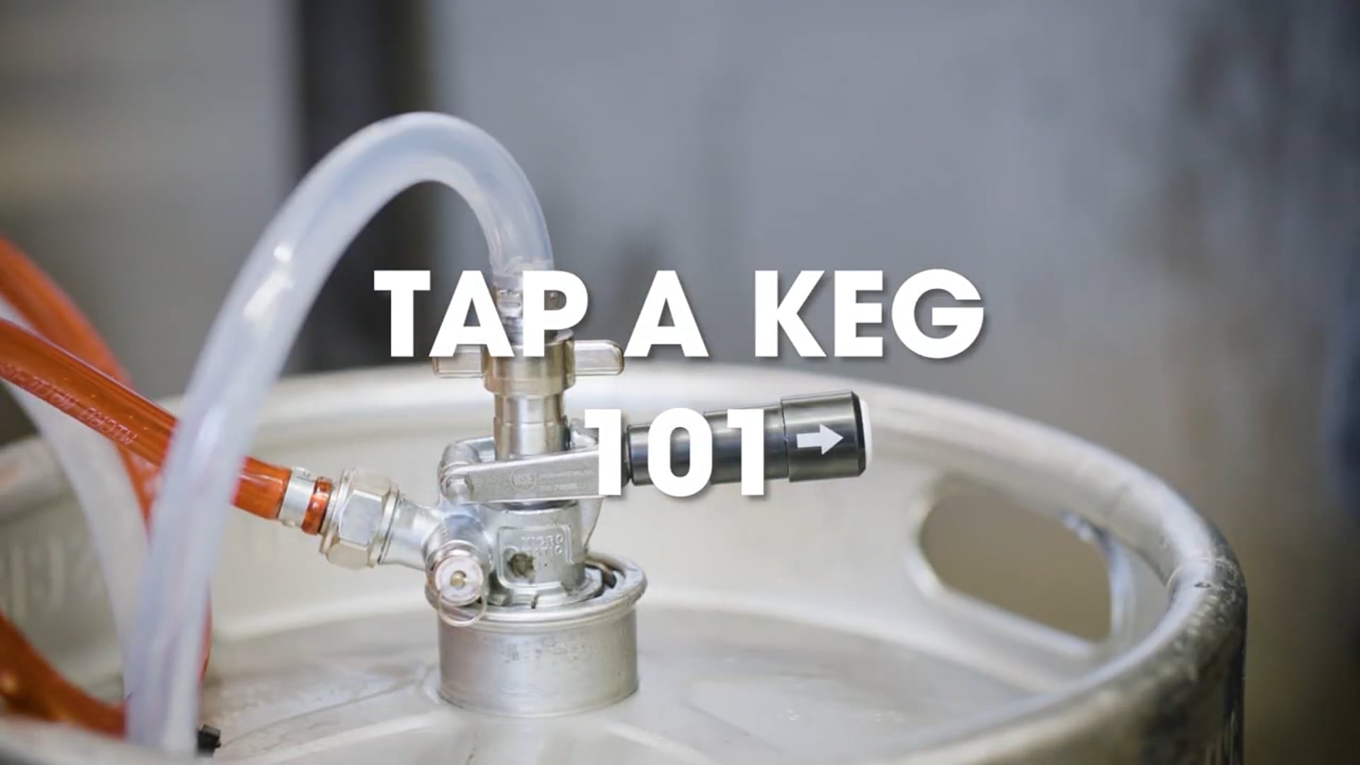 AB Draught - Tap a Keg 101