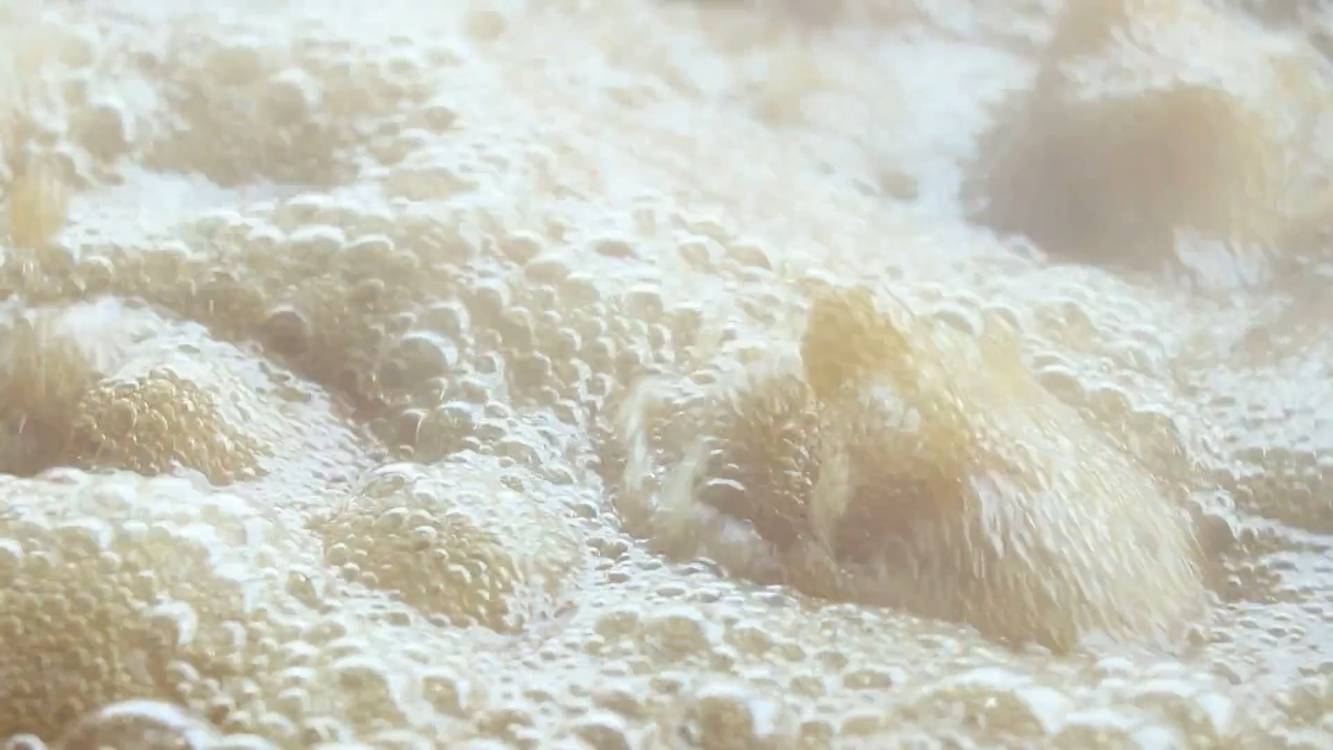 https://i.vimeocdn.com/video/2032852426-31e7039a967392eaed61379dbe477a95a90a49c7bda1d4324875318135c61085-d