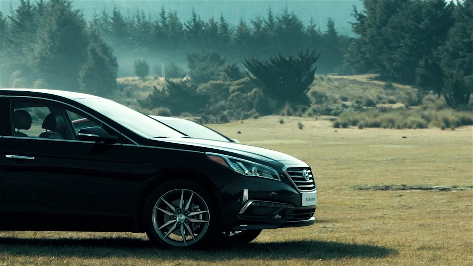Hyundai Anniversary