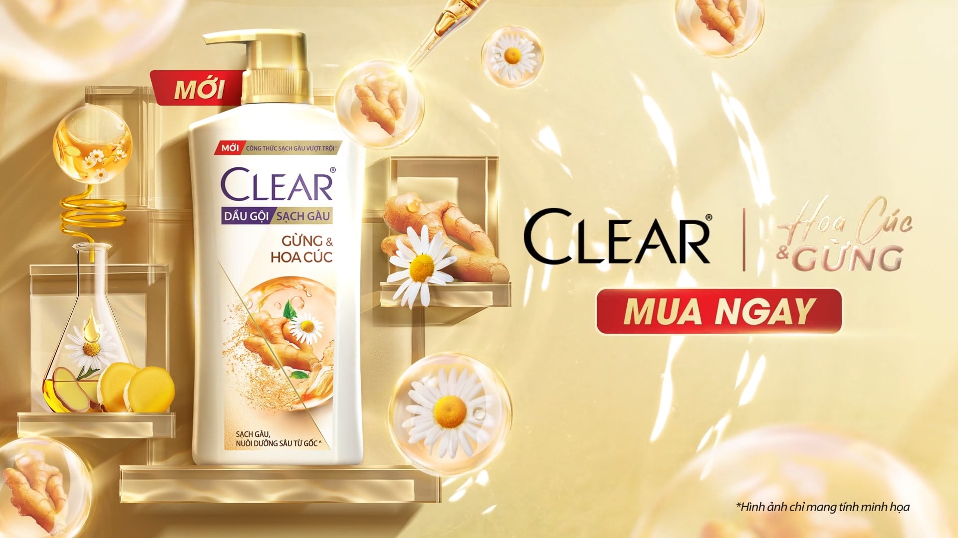 CLEAR GINGER - BUMPER 6S