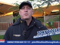 Dark Arts Promo Tony Gollan