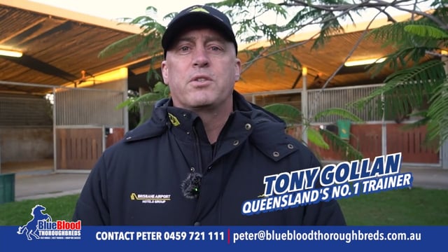 Dark Arts Promo Tony Gollan