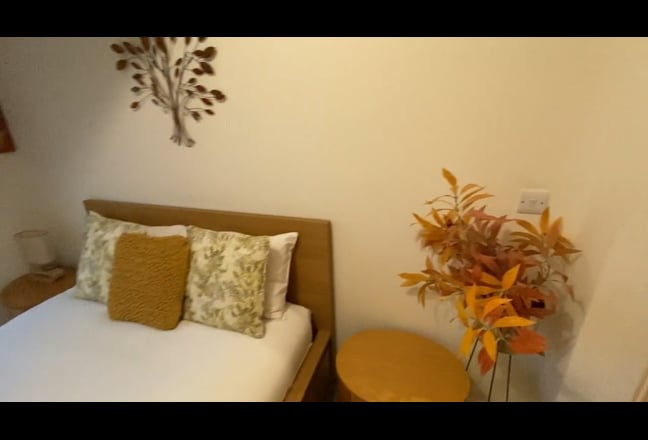 Video 1: