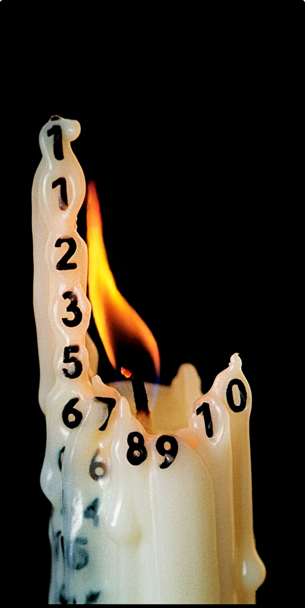 https://i.vimeocdn.com/video/2033255661-4bb047d08156b6c426e079dde3931b80dac9265bfb1b150f3ee6165c2f30df22-d