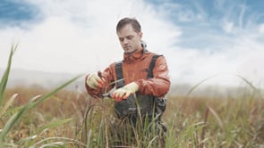 Meet the Regenerative Fiber Pioneers