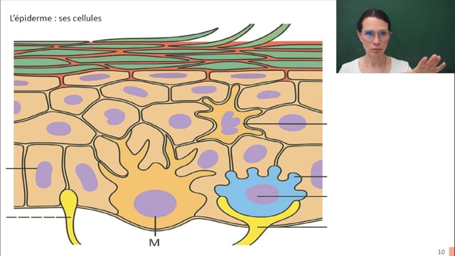 Soin des mains : les bons gestes du CAP