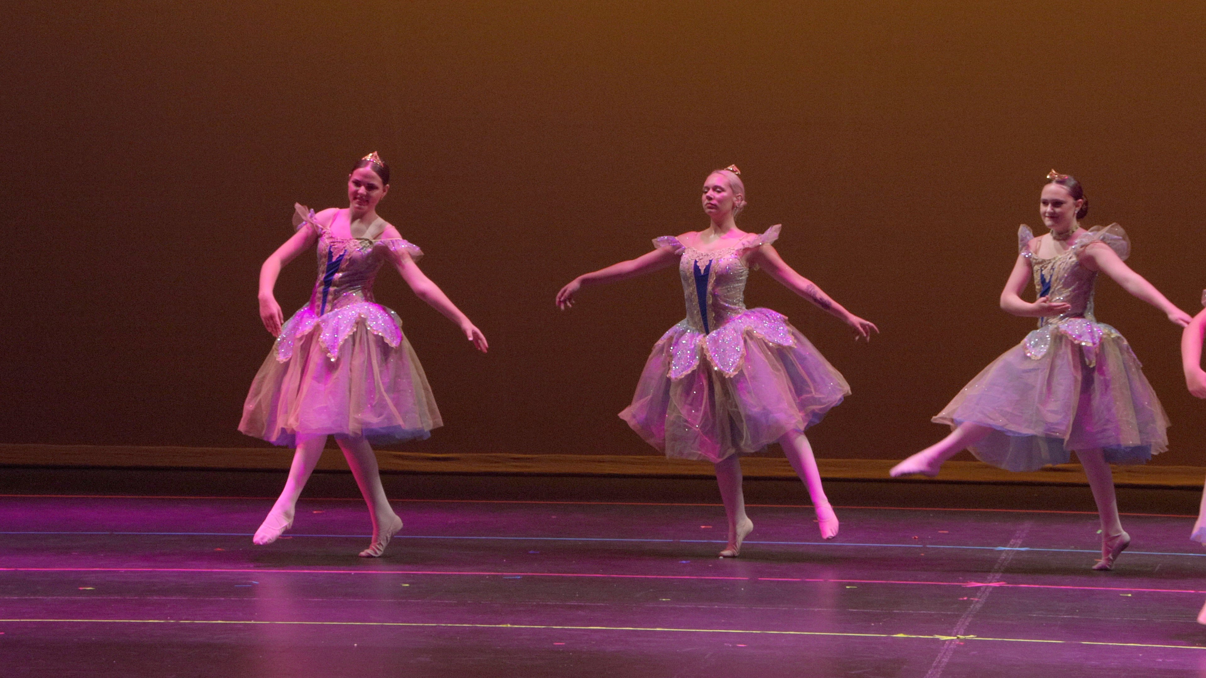 The Princess Diaries Waltz