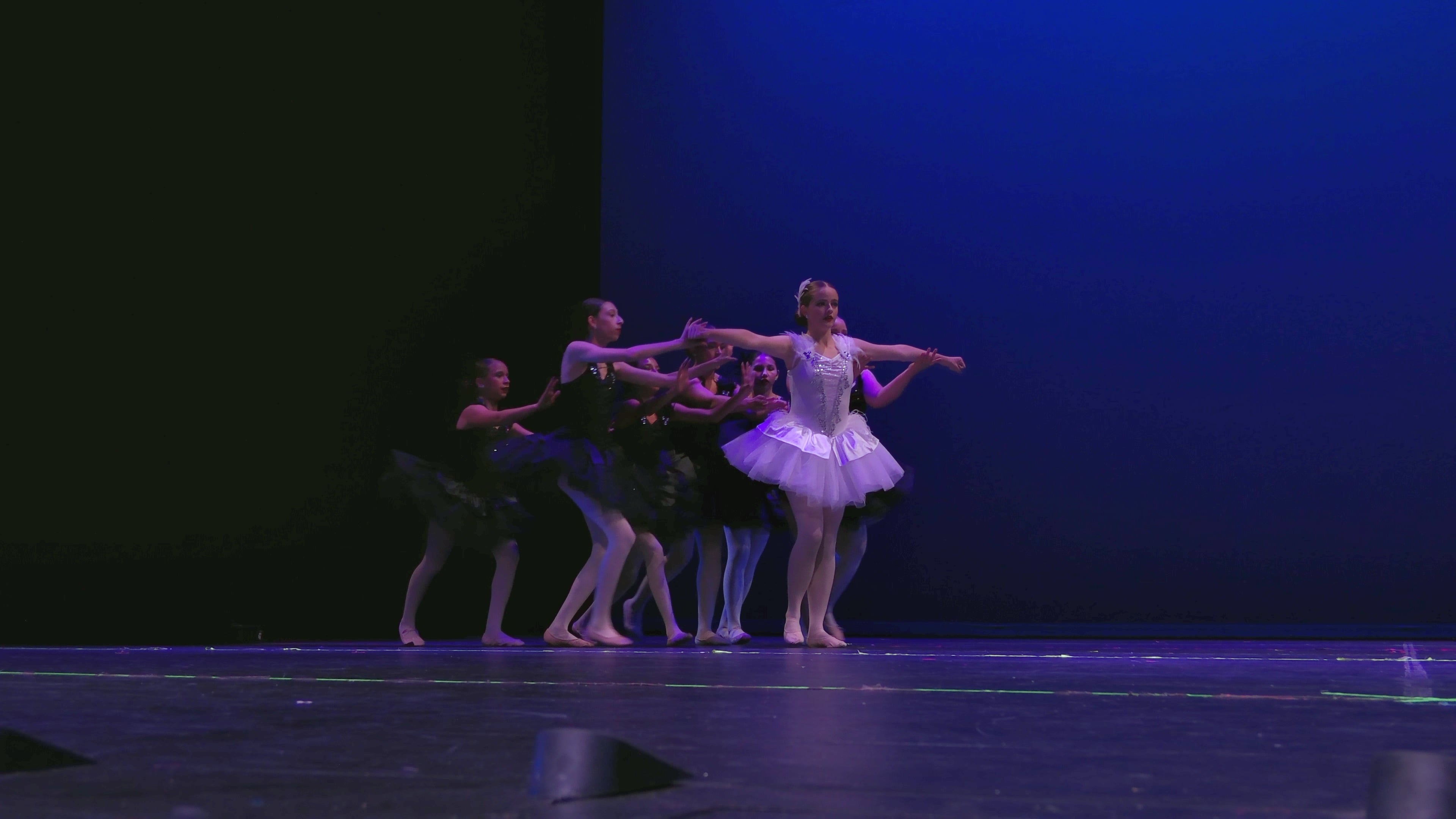 Black Swan