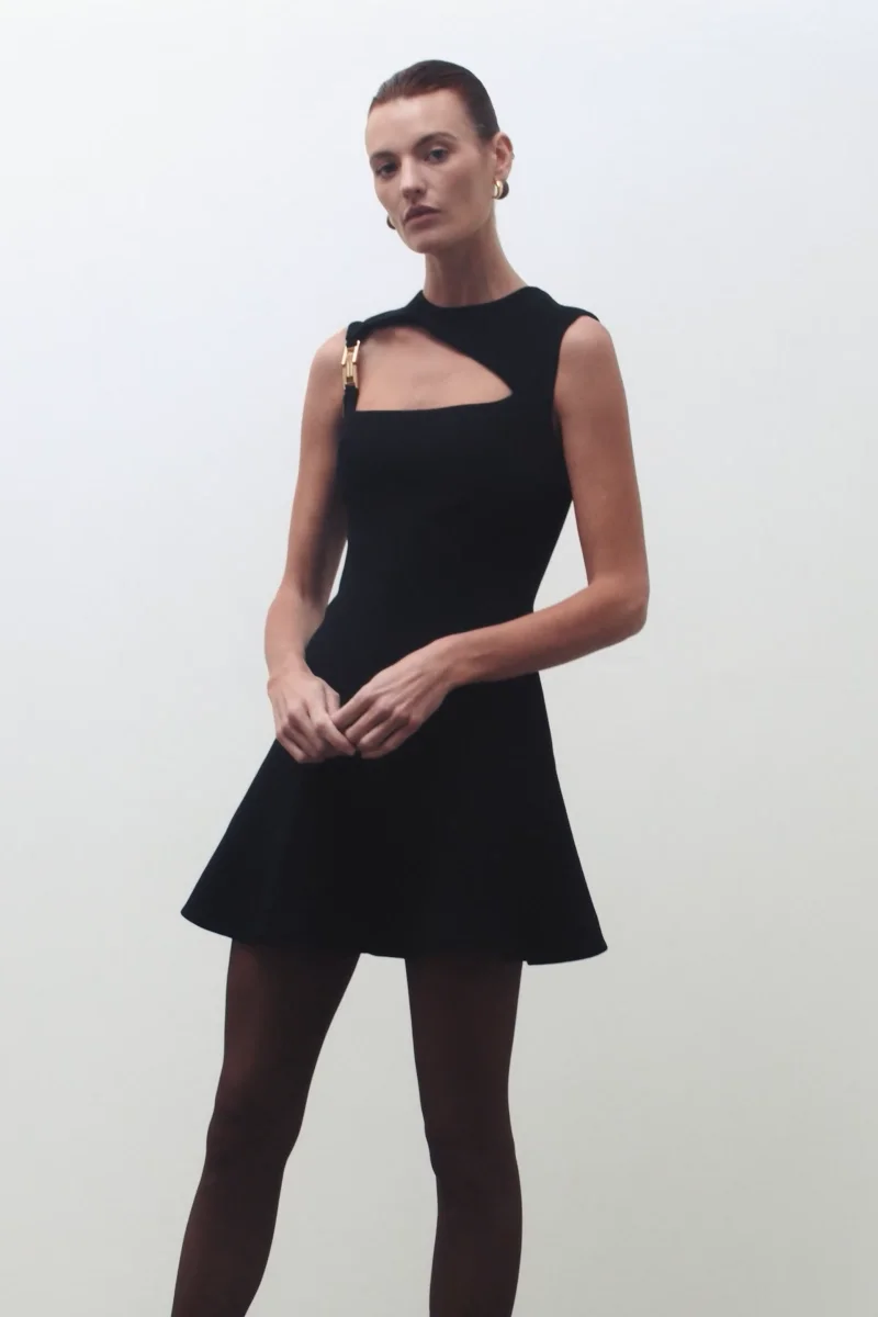 Freyja Cutout Mini Dress – Rebecca Vallance