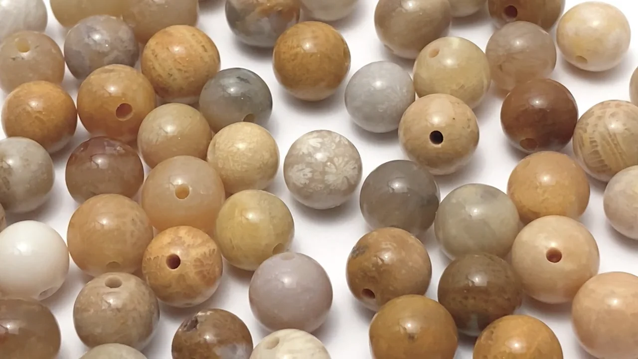 フォシルコーラル 片穴ラウンド 6個｜天然石ビーズの卸問屋・通販