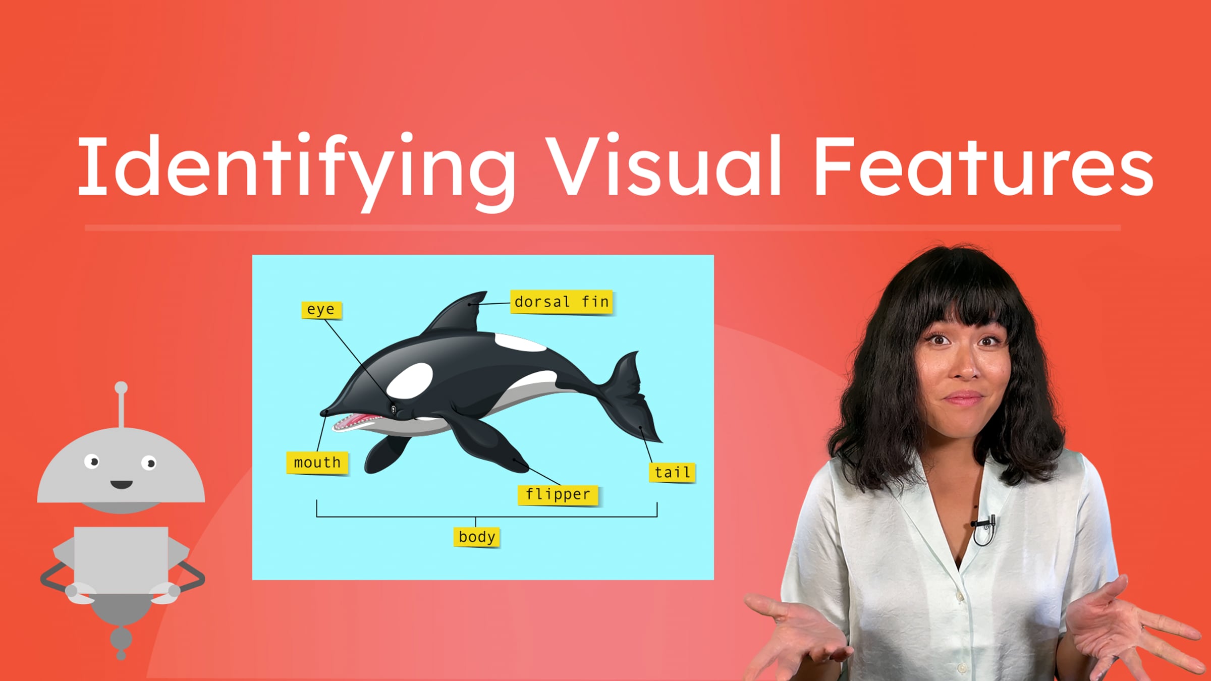 Identifying Visual Features | Videos & Movies on Vimeo