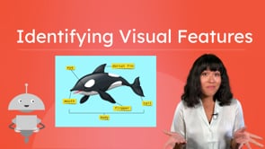 Identifying Visual Features