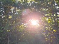 Day 4 - Morning Sun Song