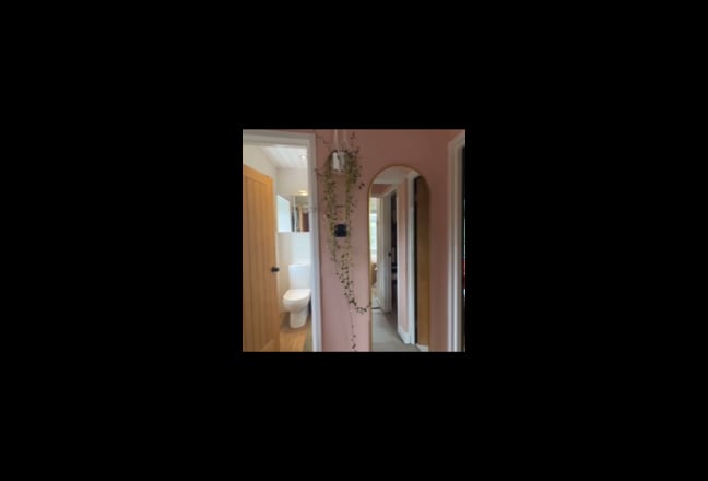 Video 1: