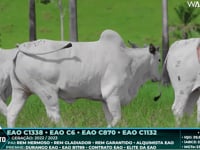 Lote 129