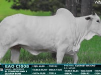 Lote 131