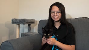 Interview: Adopting a Cat