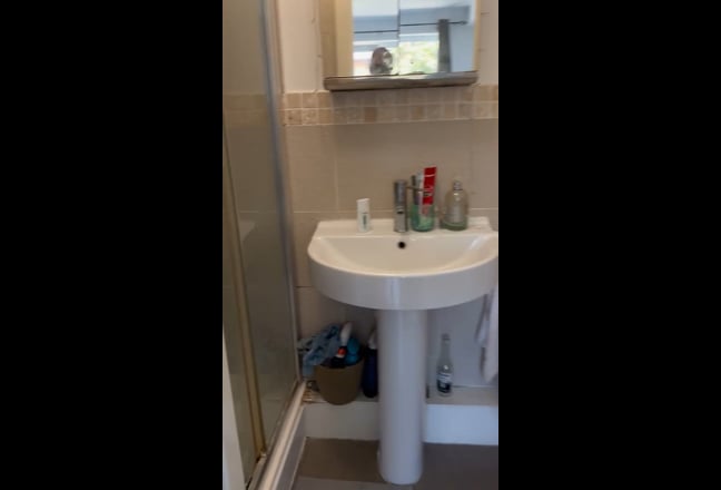 Video 1: