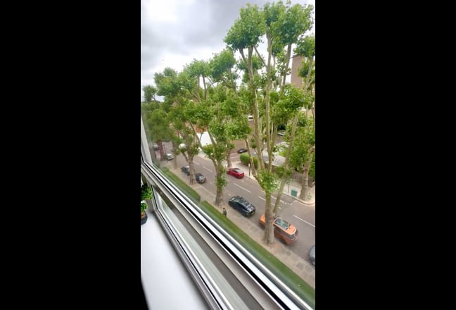 King size Room in luxury Penthouse Main Photo