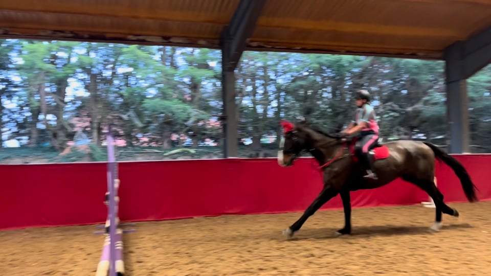 How Rider Biomechanics Clothing Helps You Improve Your Jumping Position