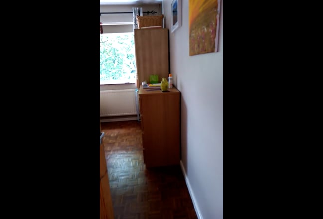 Video 1: