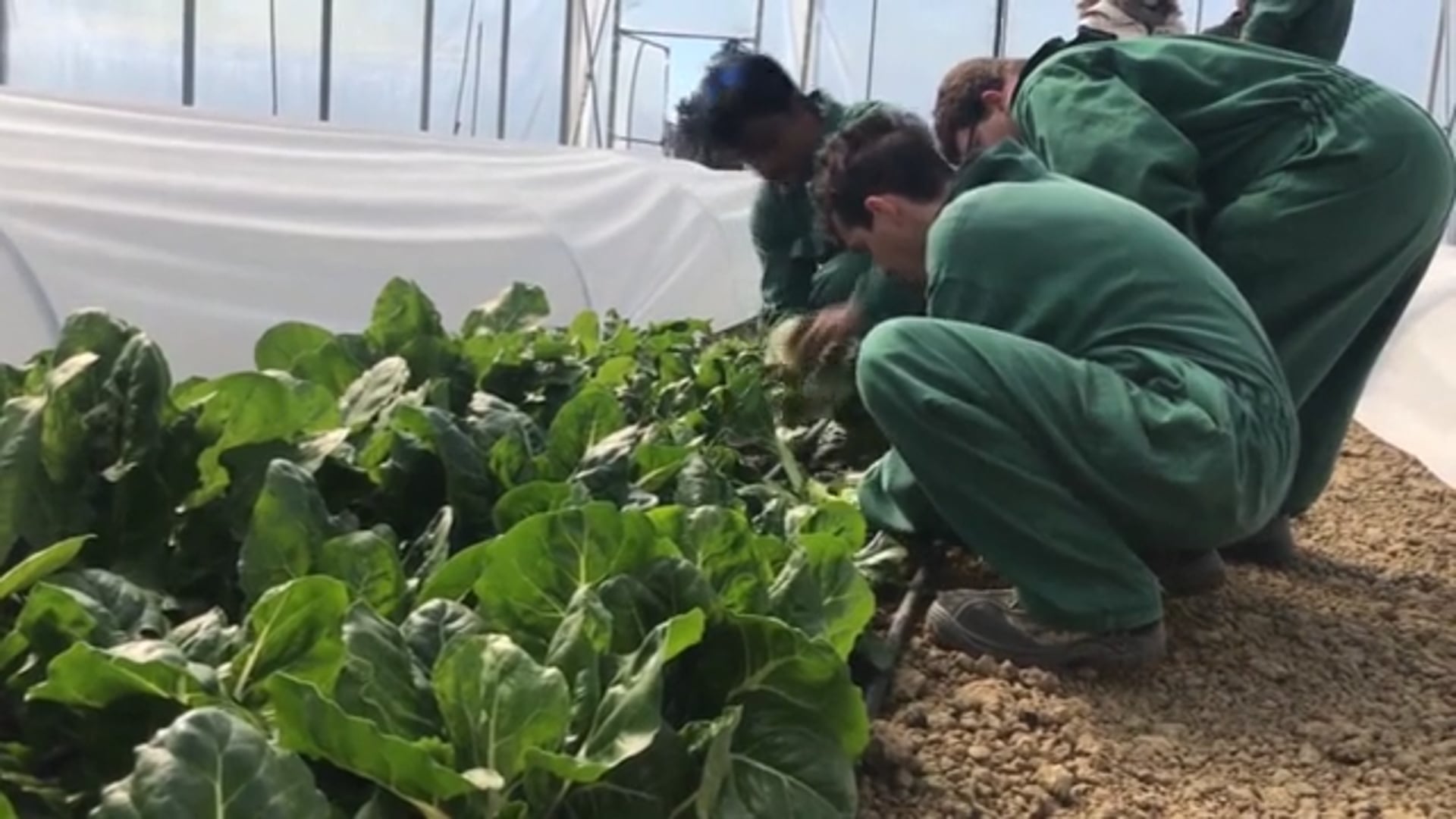 2024 anno di ripresa e rilancio per l’agroalimentare in Emilia-Romagna