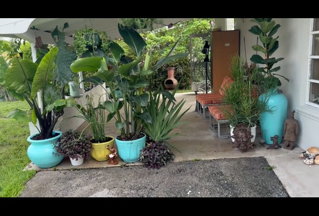 Spacious Room for Rent with Water Views- Peaceful  Main Photo