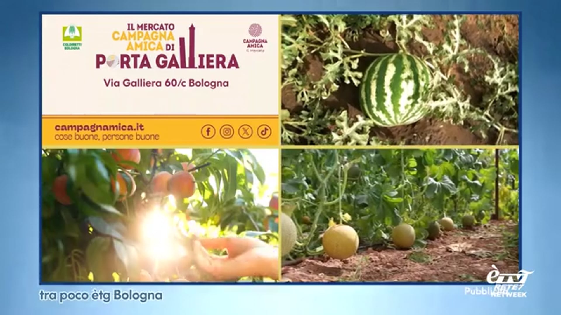 èTG –  Edizione Giorno 17/06/2025