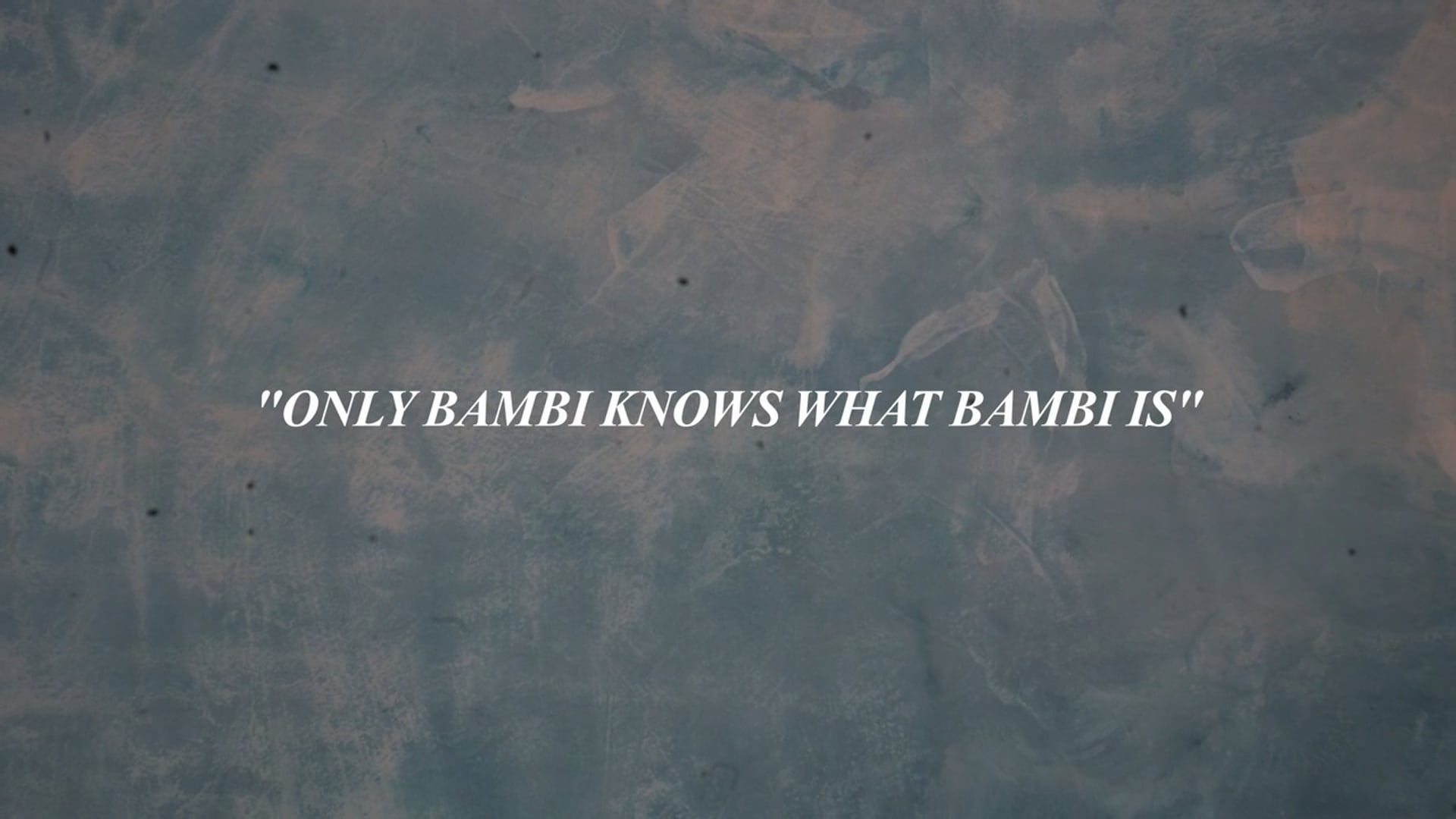 "ONLY BAMBI KNOWS WHAT BAMBI IS"