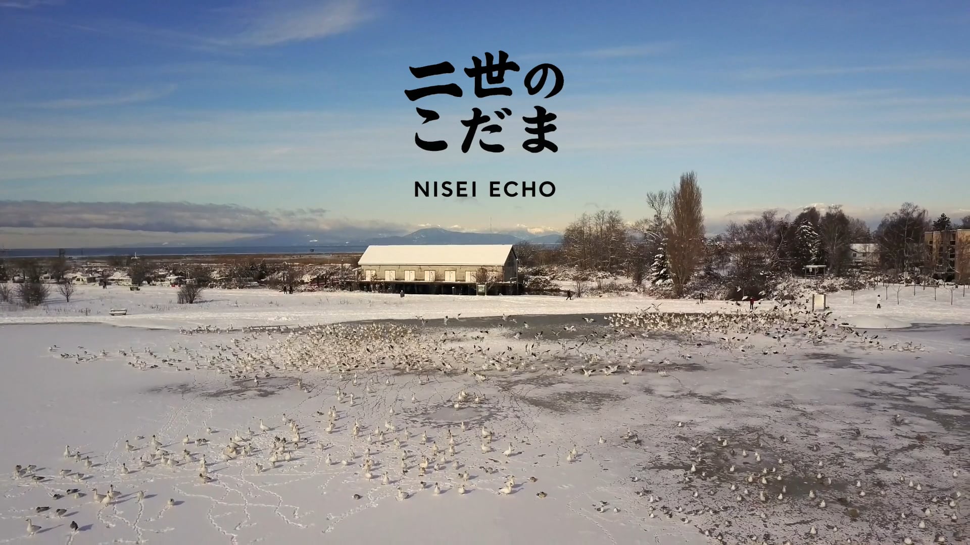 Welcome to: Nisei Echo