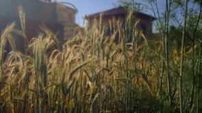 Juste devant nous - Solan