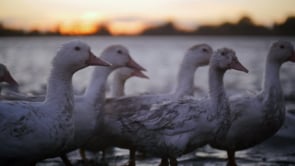 Juste devant nous - Bernard