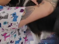 Related Embedded Video Item Thumbnail