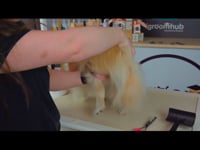 Related Embedded Video Item Thumbnail