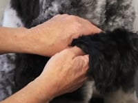 Related Embedded Video Item Thumbnail