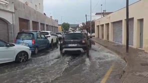 Els grops s'enduen l'onada de calor