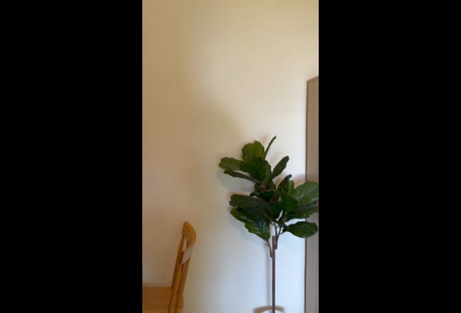 Large Double room to let . Main Photo