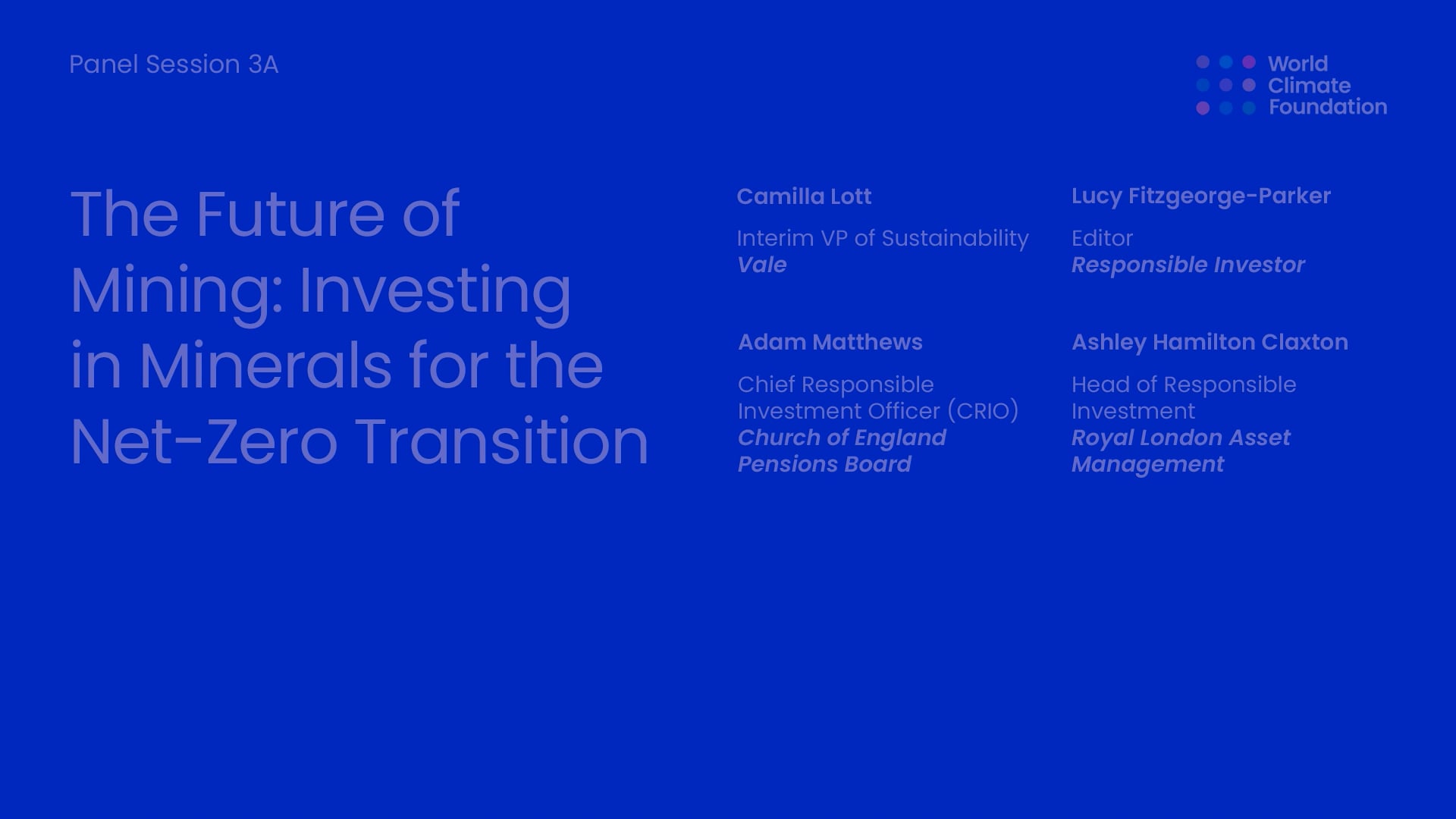 Panel Session 3A