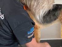 Related Embedded Video Item Thumbnail