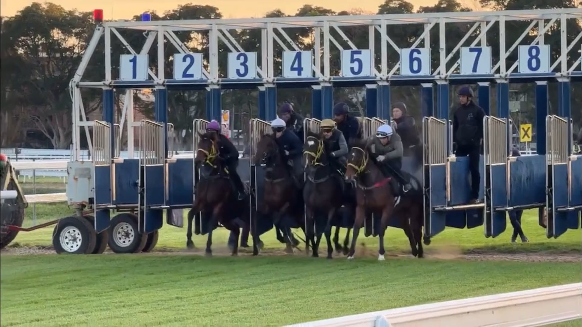 MYSTERY HORSE REVEALED WHO AMI? REVEALED