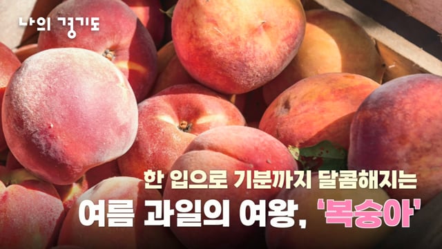경기도정소식지 