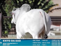 Lote S24