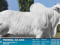 Lote S30