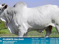 Lote S44