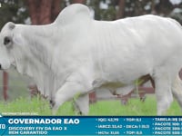 Lote S57