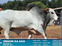 Lote S01